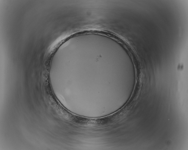 X0000114701359200911121531