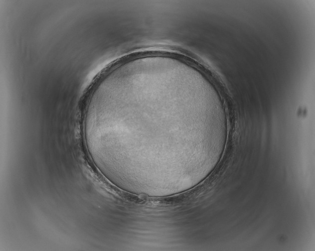 X0000114701360200911121531