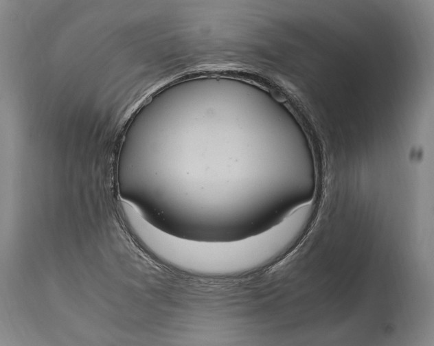 X0000114701361200911121531