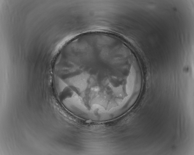 X0000114701363200911121531