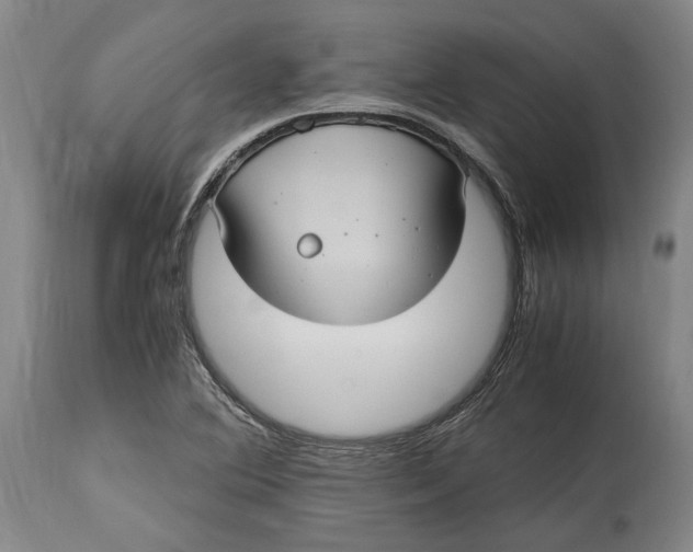 X0000114701364200911121531