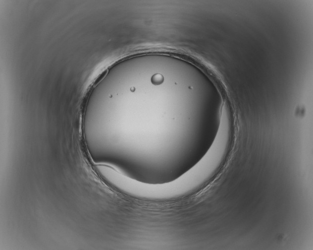 X0000114701365200911121531