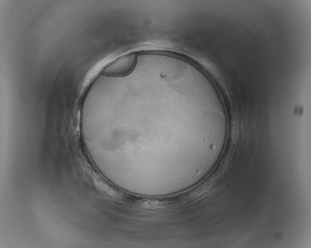 X0000114701366200911121531