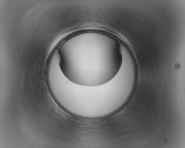 X0000114701368200911121531