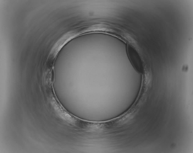 X0000114701369200911121531