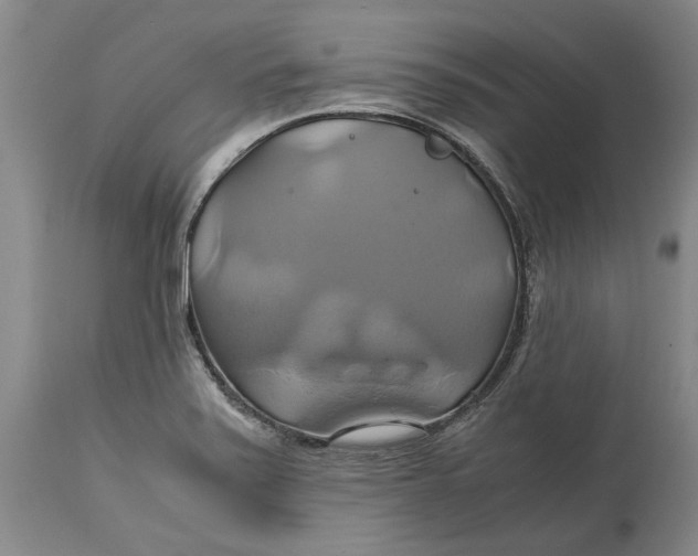 X0000114701371200911121531