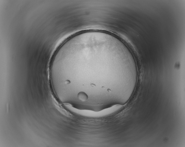 X0000114701372200911121530