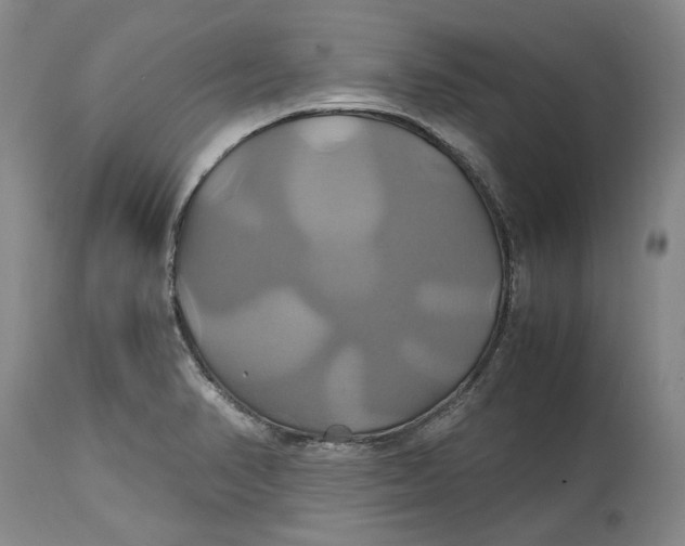 X0000114701374200911121530