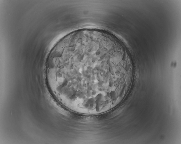 X0000114701375200911121530