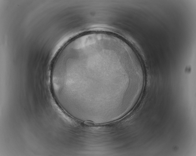 X0000114701376200911121530