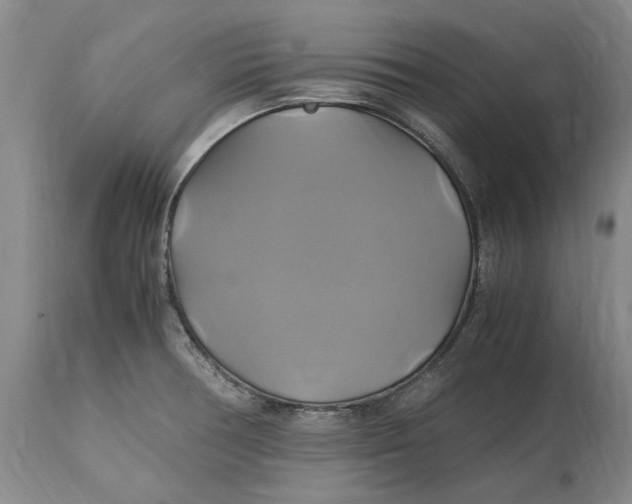 X0000114701378200911121530