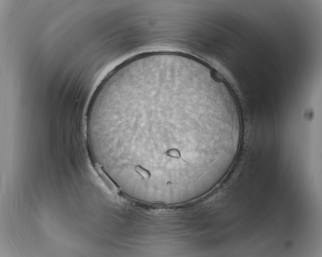 X0000114701380200911121530