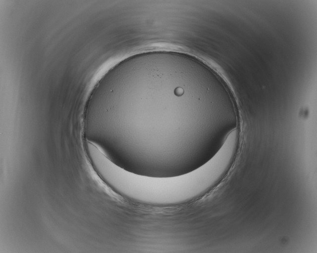 X0000114701381200911121530