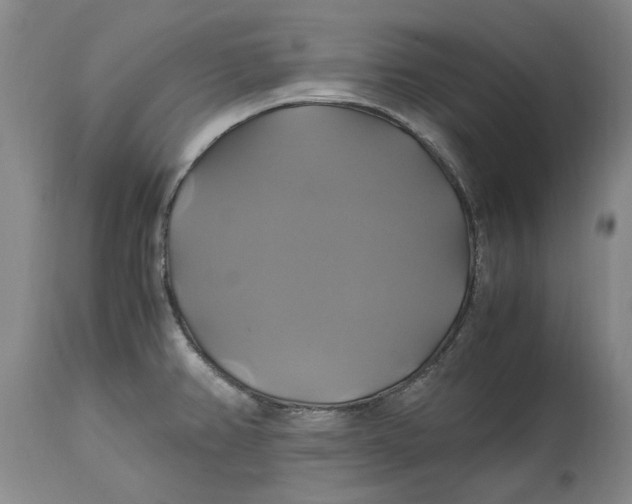 X0000114701382200911121530