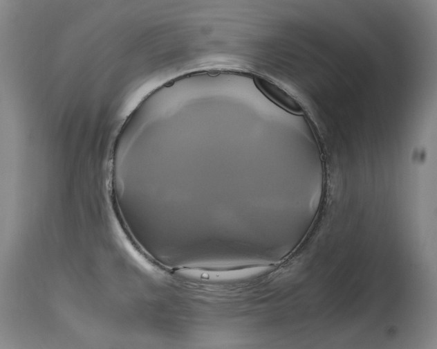 X0000114701383200911121530