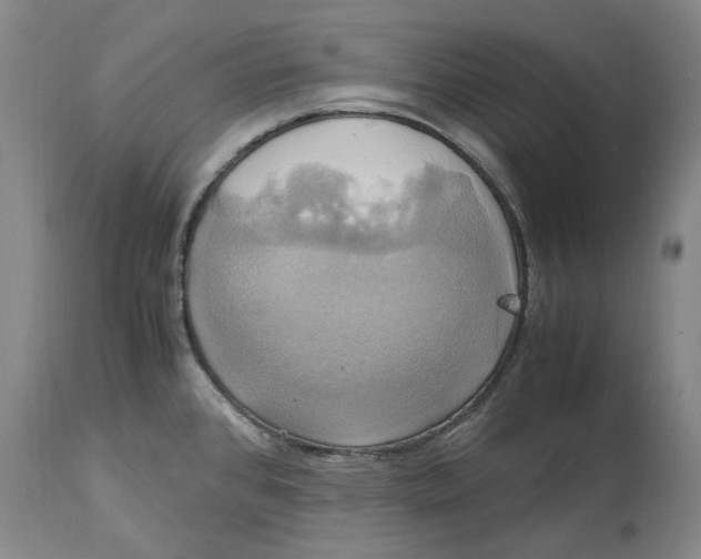 X0000114701384200911121530