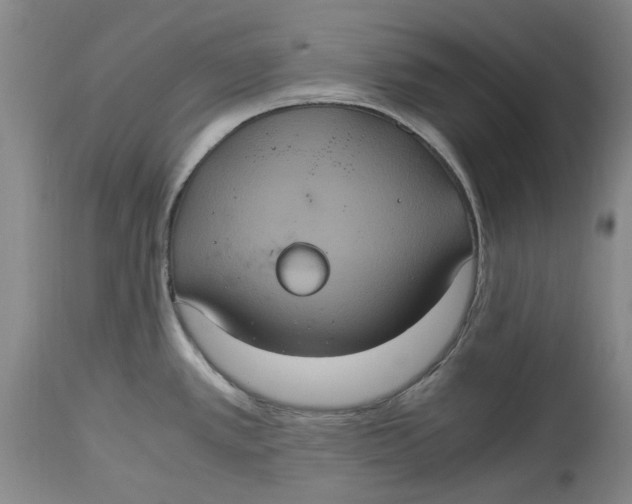 X0000114701389200911121530