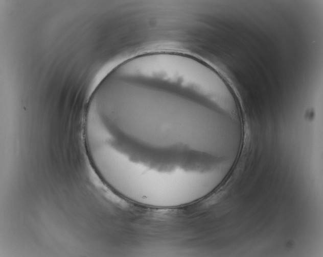 X0000114701390200911121530