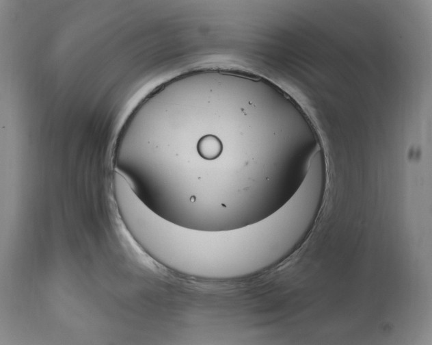 X0000114701392200911121530