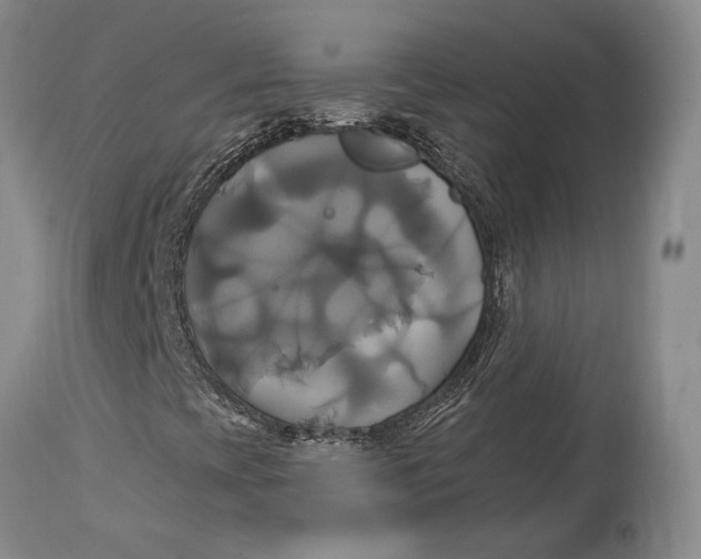 X0000114701393200911121530