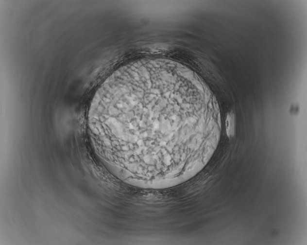 X0000114701395200911121530