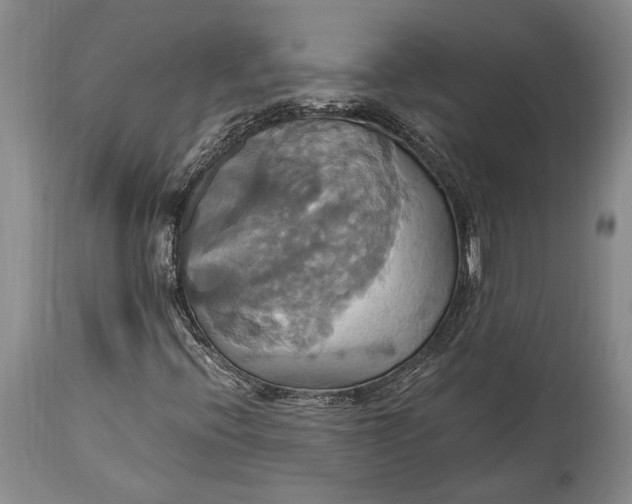 X0000114701396200911121530