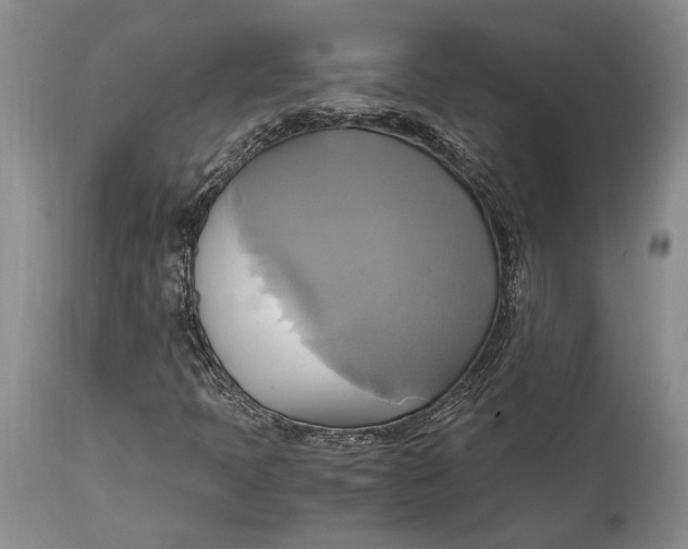 X0000114701397200911121530