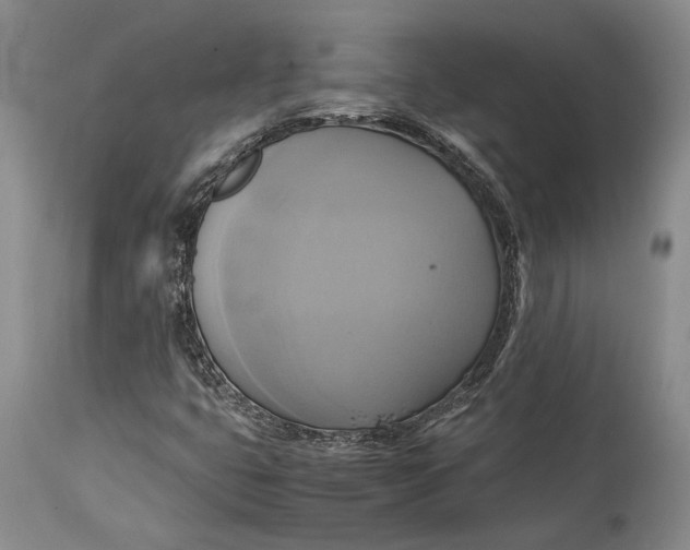 X0000114701399200911121530