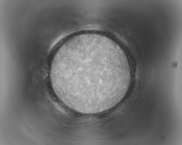 X0000114701400200911121530