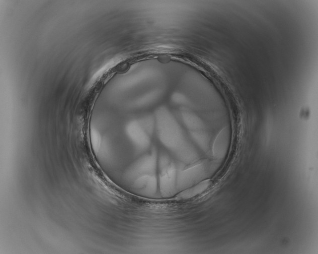 X0000114701402200911121530