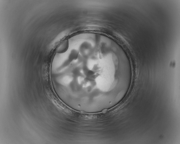 X0000114701403200911121530