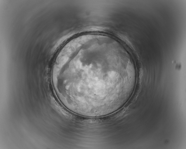 X0000114701404200911121530