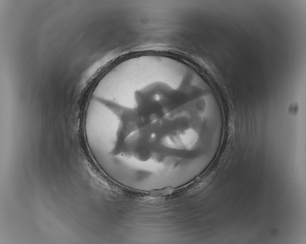 X0000114701406200911121530