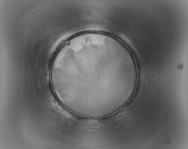 X0000114701408200911121530