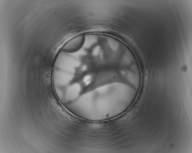 X0000114701409200911121530