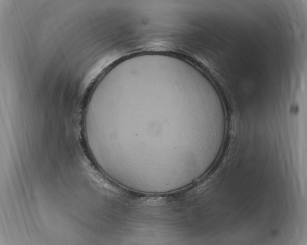 X0000114701410200911121530