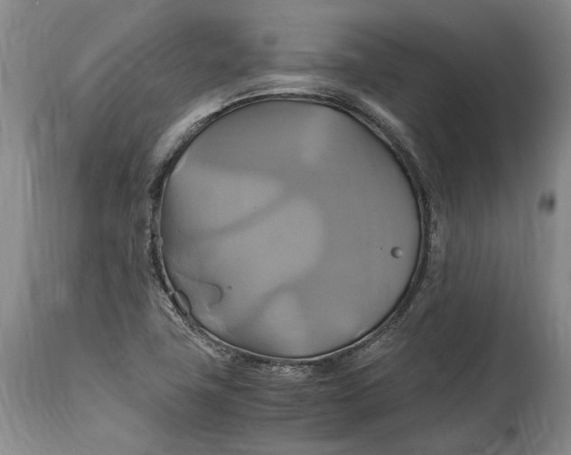 X0000114701411200911121530