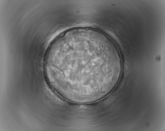 X0000114701412200911121530