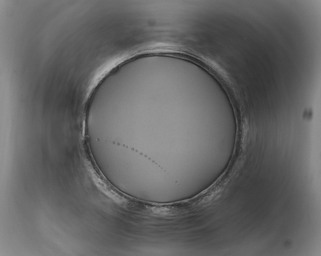 X0000114701413200911121530