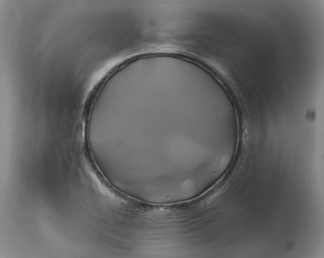 X0000114701414200911121530