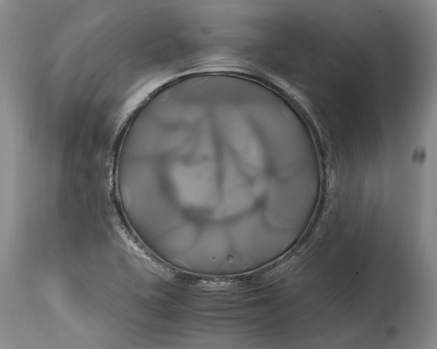 X0000114701415200911121530