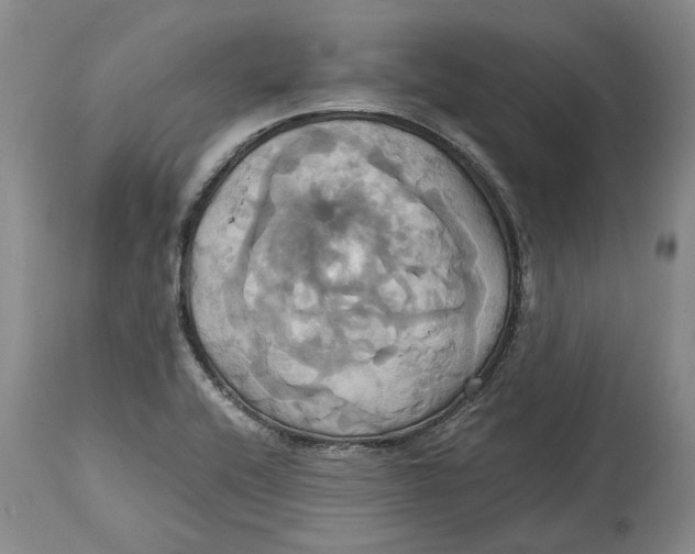 X0000114701416200911121530