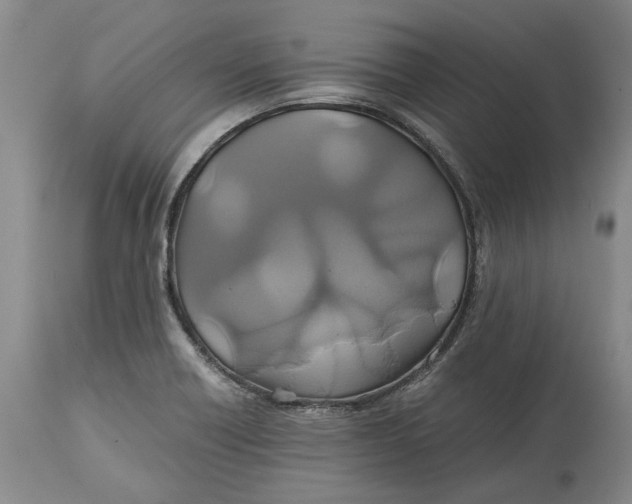 X0000114701418200911121530