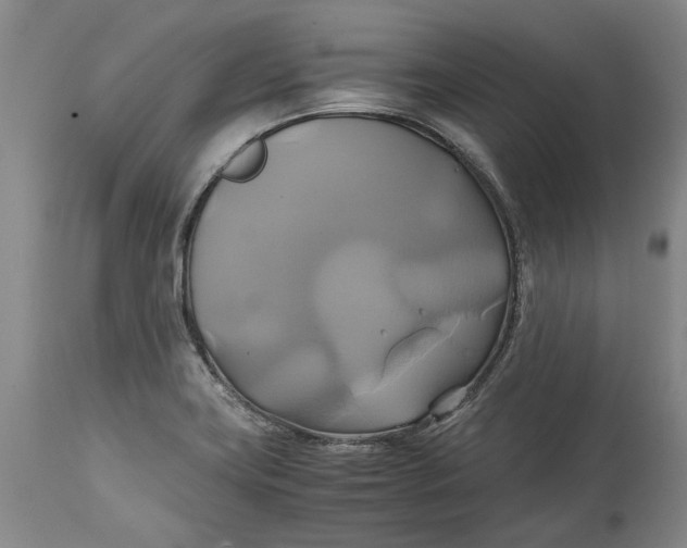 X0000114701419200911121530