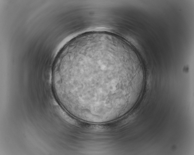 X0000114701420200911121530