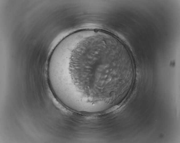 X0000114701421200911121530