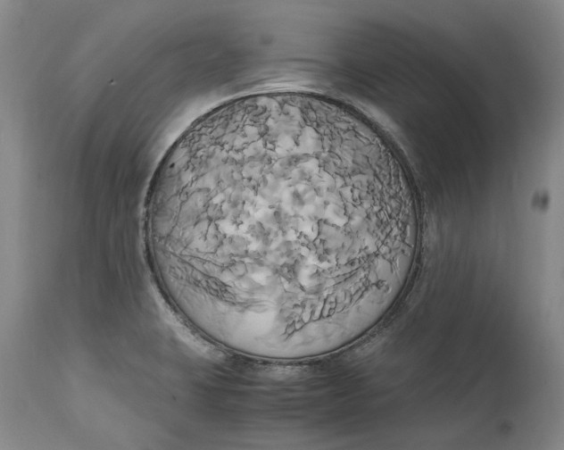 X0000114701423200911121530