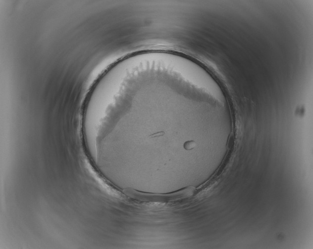 X0000114701424200911121530