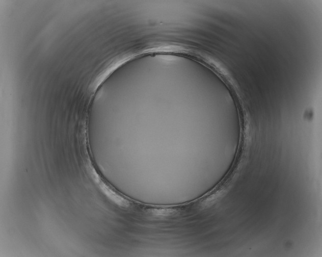 X0000114701425200911121530