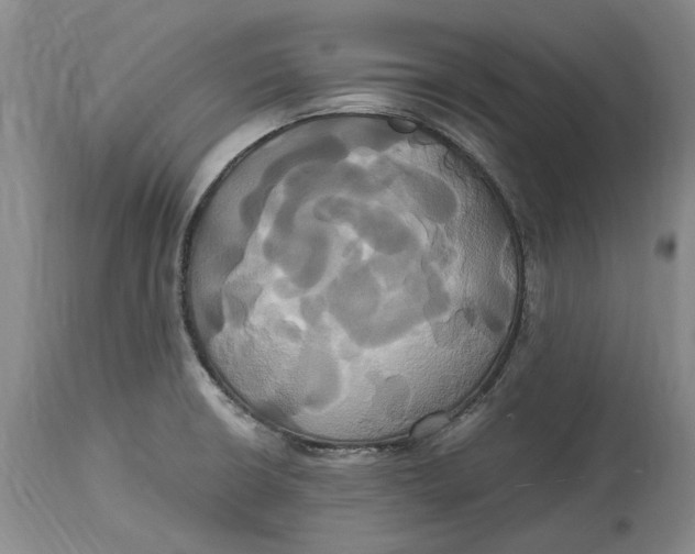 X0000114701426200911121530